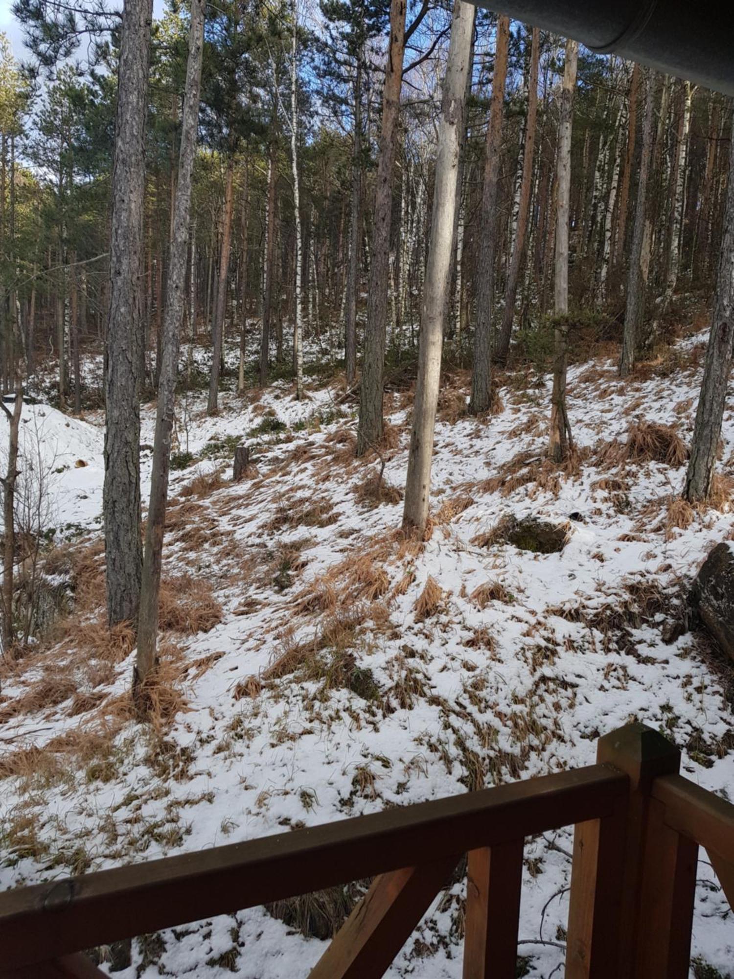 Divcibarski Konak Divčibare Exterior foto
